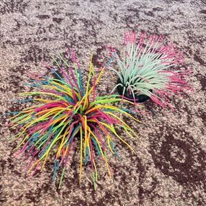 Top Fin * Fish Glow Pink Anemone Aquarium Ornaments Silicone Rainbow Neon Plant